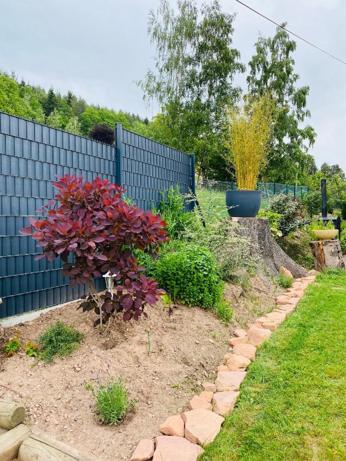 L'Hippocampe Apartment Wangenbourg-Engenthal ภายนอก รูปภาพ