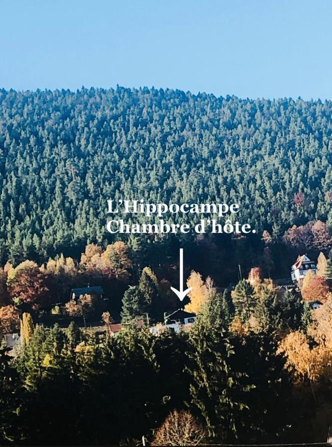 L'Hippocampe Apartment Wangenbourg-Engenthal ภายนอก รูปภาพ